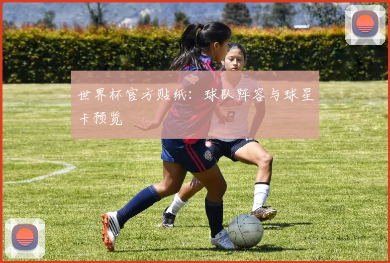 世界杯官方贴纸：球队阵容与球星卡预览